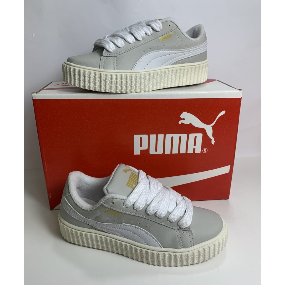 Puma Carina - Gelo
