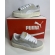 Puma Carina - Gelo