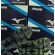 Mizuno LS - Flor de lótus Preto